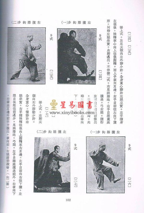 董英杰：太极拳释义（2012年最新修订版）