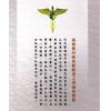 释悟光：瑜伽养生术与秘密道